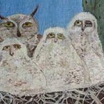 Saguaro Owls